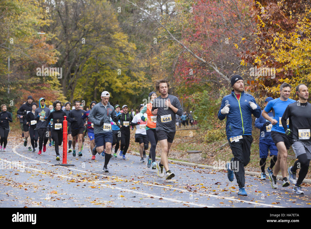 I corridori partecipare alla maratona di Brooklyn che avviene in Prospect Park. Guide di scorrimento sono circondato da i colori dell'autunno ancora brillante per la metà di novembre. Foto Stock