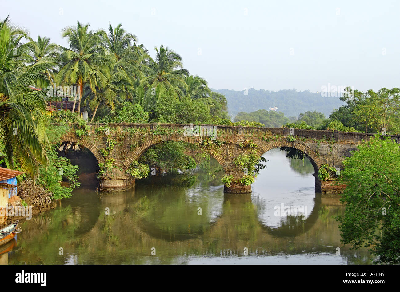 Vecchio abbandonato arco in pietra ponte stradale con la crescita delle piante su un rivolo di Goa, India Foto Stock