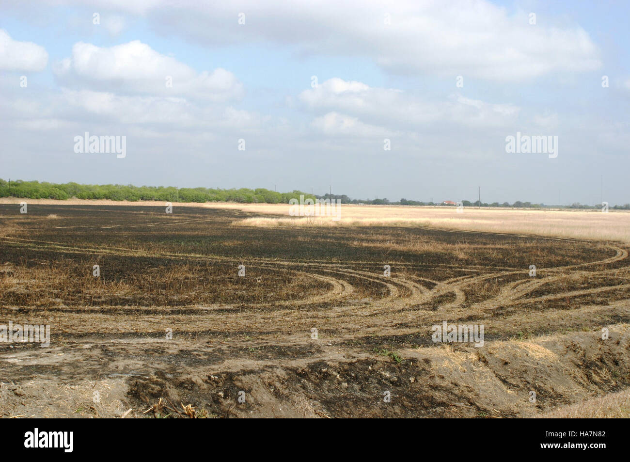 Gli sforzi dell'USDA Wildfire nel 2011 includevano risposte dirette agli incendi e programmi di restauro volti a gestire gli ecosistemi antincendio in tutti gli Stati Uniti. Foto Stock