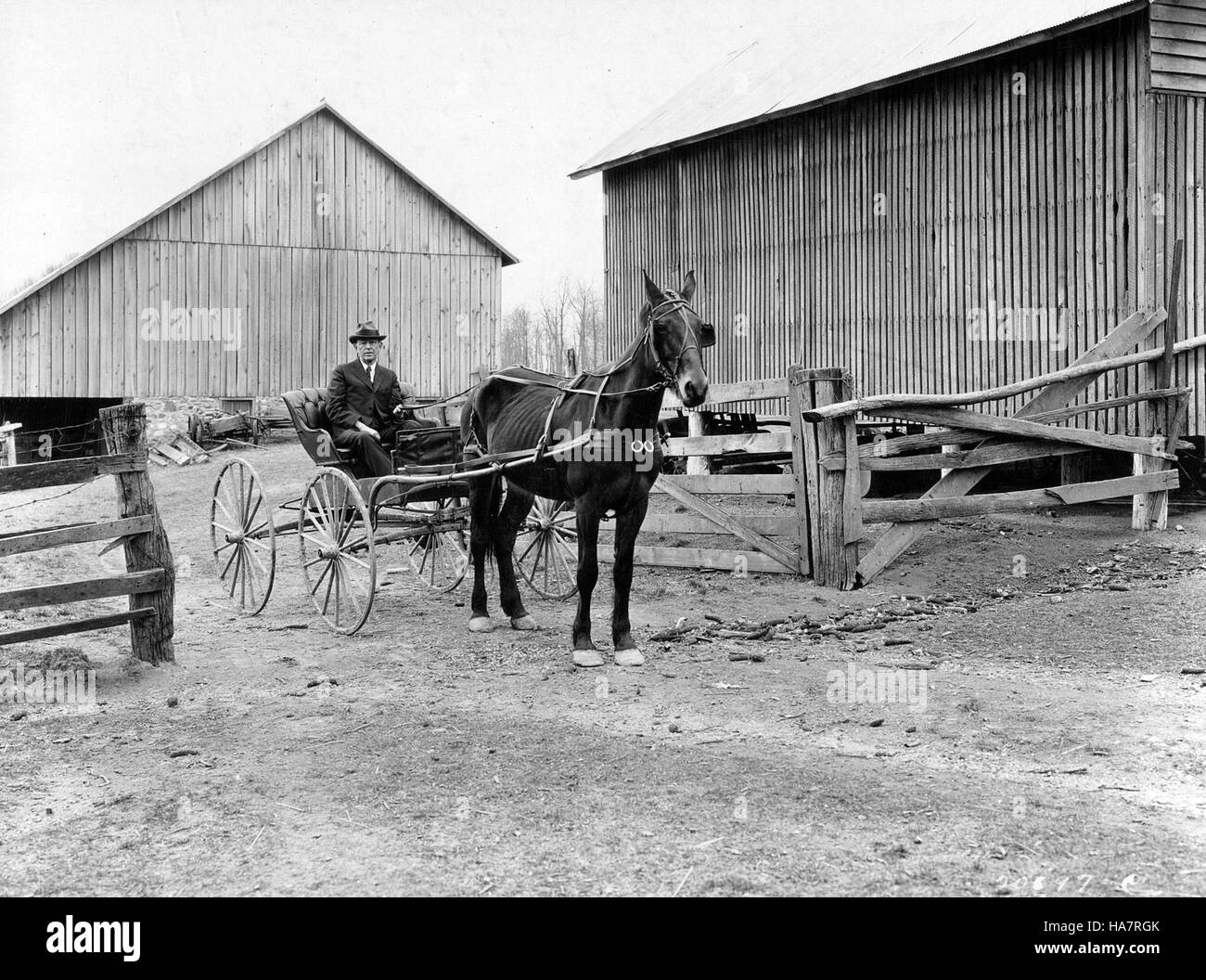 Un'iniziativa dell'USDA affronta questioni ambientali e agricole chiave, concentrandosi sulla sostenibilità, la sicurezza alimentare e il ruolo della politica federale nella conservazione delle risorse naturali. Foto Stock
