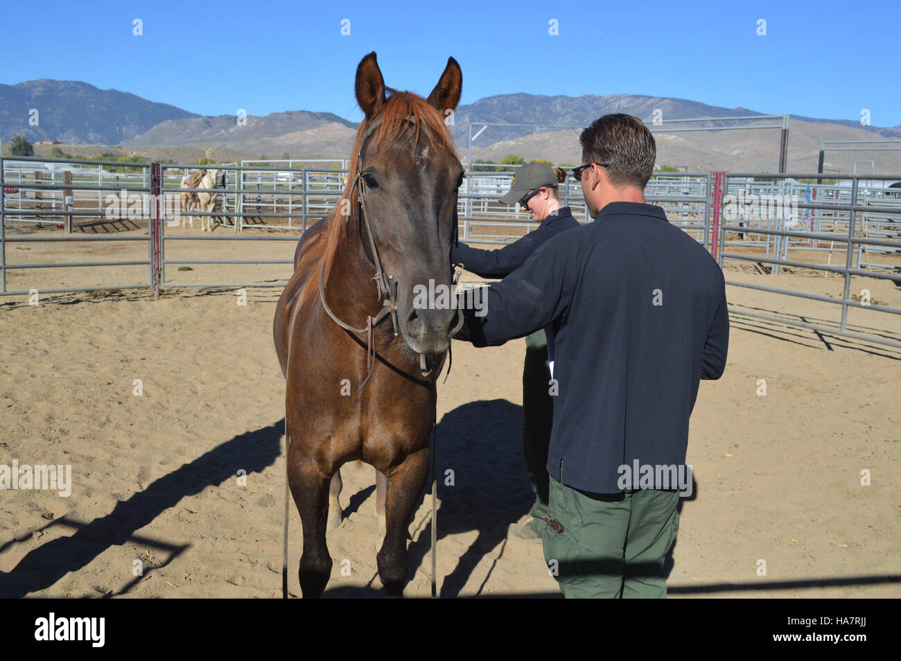 Un sito BLM Nevada che mostra l'impatto della gestione del territorio, della conservazione della natura e delle decisioni politiche sui terreni pubblici del Nevada. Foto Stock