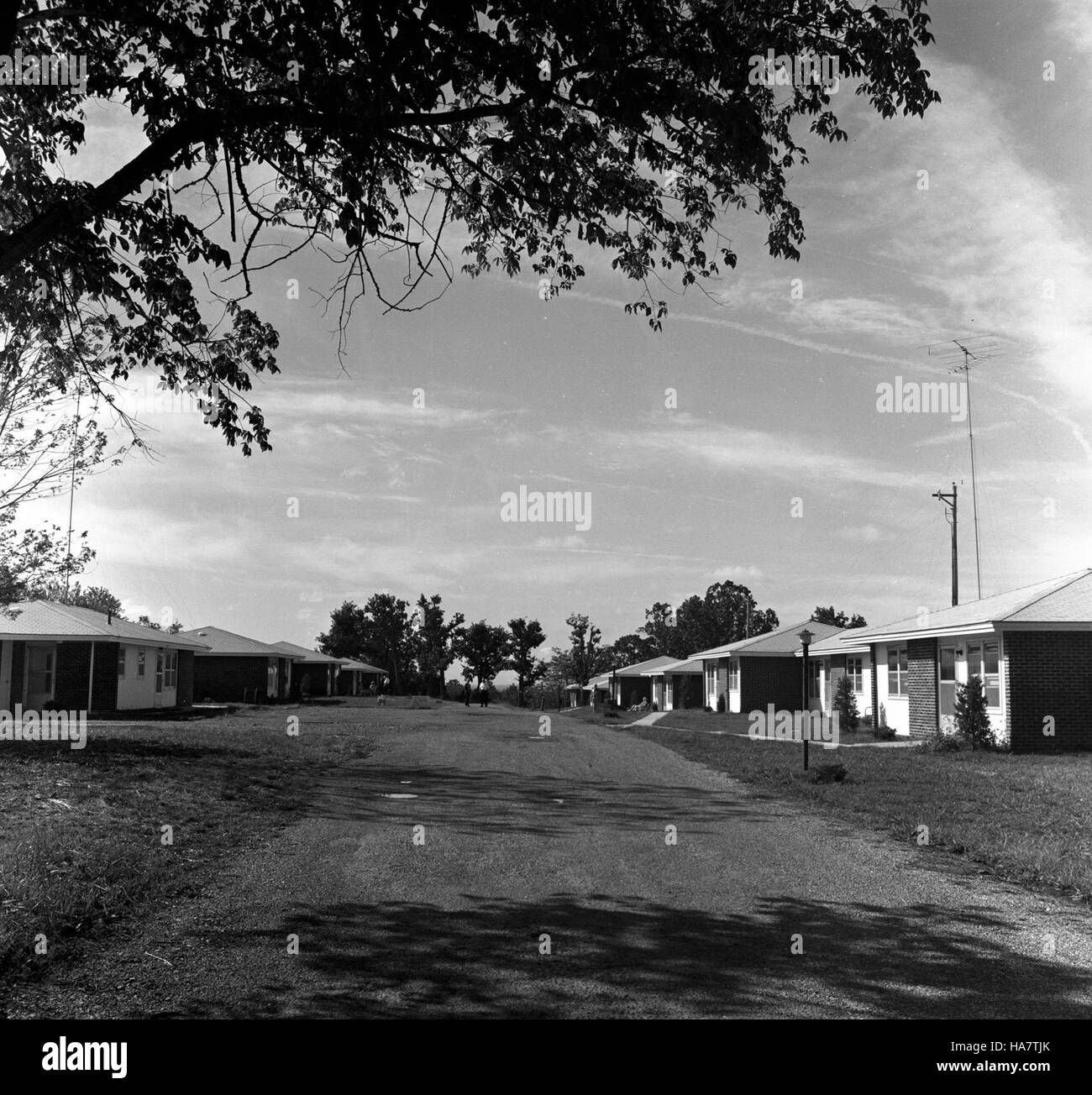 L'USDA celebra il suo 150° anniversario, celebrando i suoi contributi all'agricoltura, allo sviluppo rurale e alla gestione delle risorse naturali. L'agenzia continua a svolgere un ruolo cruciale nella sicurezza alimentare, nella sostenibilità ambientale e nella politica pubblica. Foto Stock