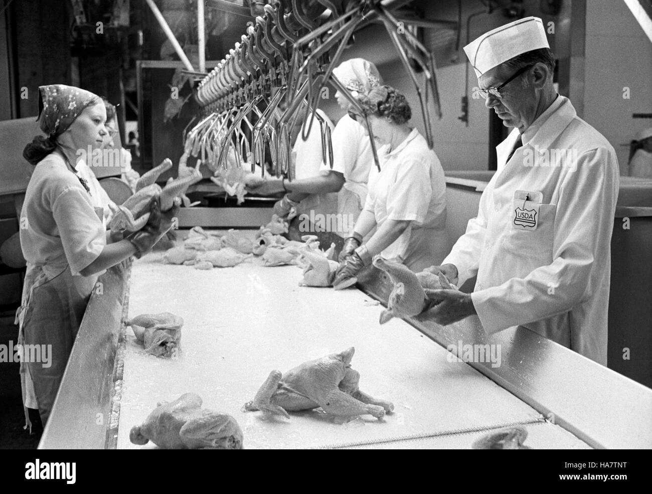 L’USDA celebra il suo 150° anniversario, riflettendo sulla sua storia di sostegno all’innovazione agricola, agli sforzi di conservazione e allo sviluppo di politiche pubbliche che proteggono le risorse naturali della nazione. Foto Stock