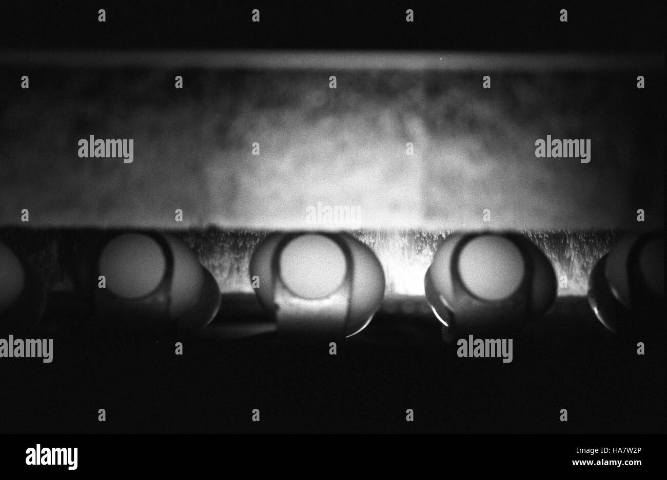 L'USDA ha celebrato il suo 150° anniversario con un focus sui suoi contributi all'agricoltura, alla sicurezza alimentare e allo sviluppo rurale, garantendo il sostegno agli agricoltori, ai consumatori e alle comunità rurali in tutti gli Stati Uniti Foto Stock