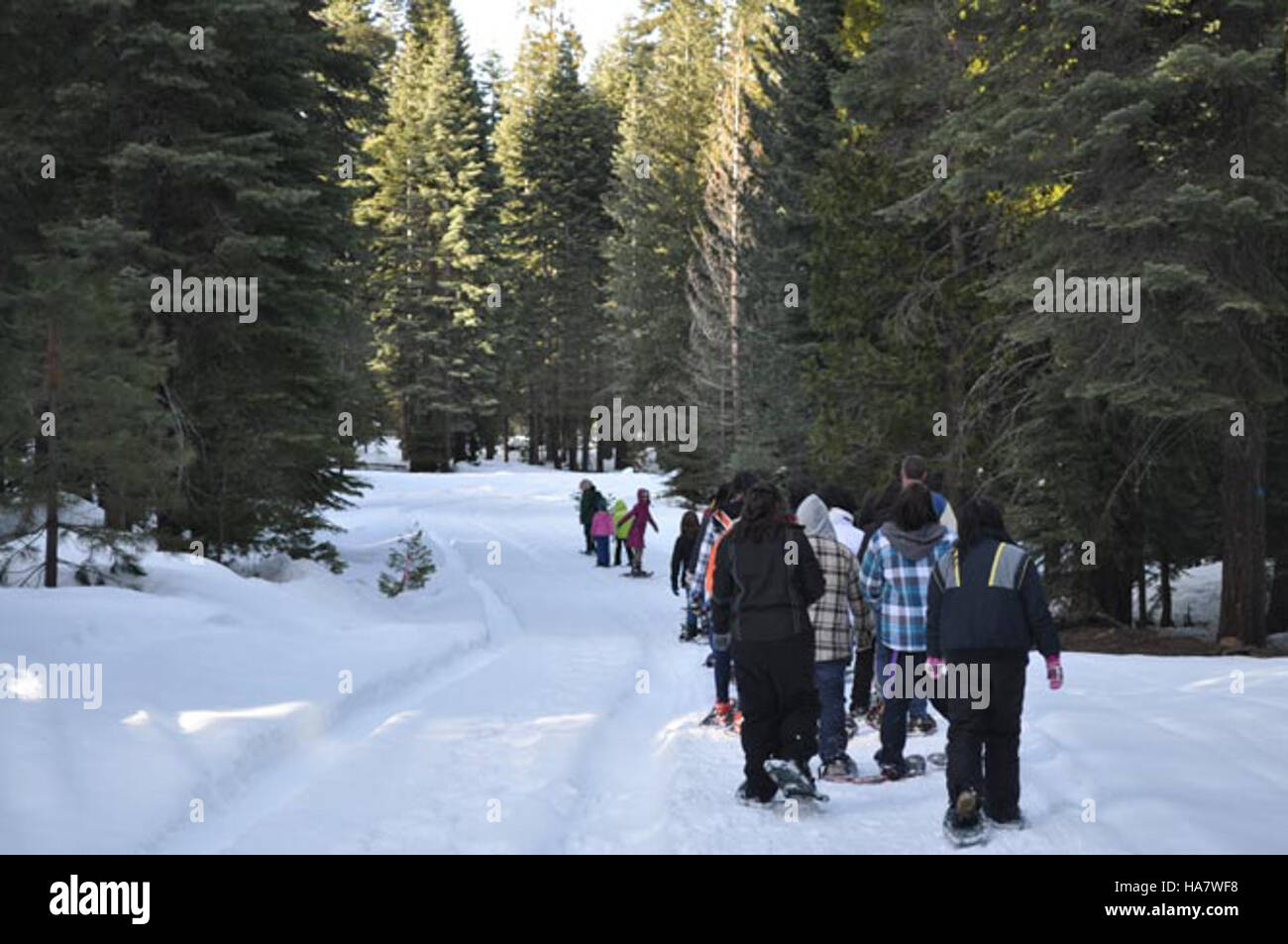 Una fotografia invernale panoramica dal Lassen National Park, che mostra le racchette da neve come una popolare attività all'aperto. La foto evidenzia la bellezza naturale dei paesaggi innevati del parco e le opportunità di svago all'aperto che offre. Foto Stock