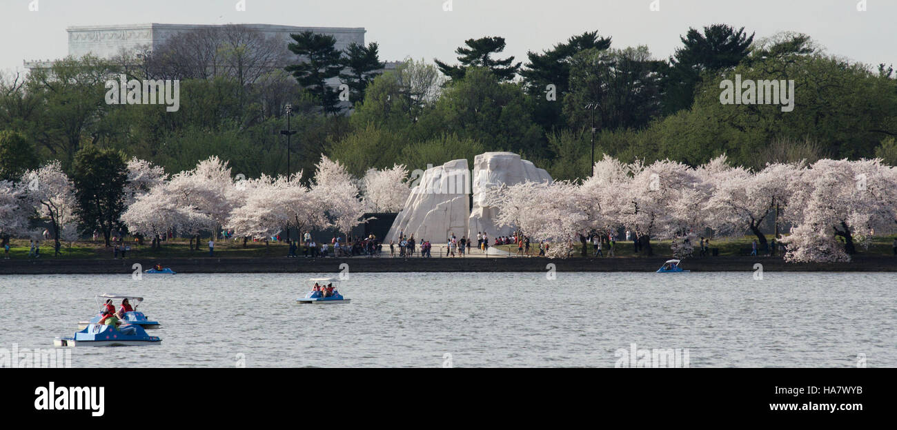 L'immagine mostra gli iconici alberi di ciliegio in fiore vicino al Martin Luther King Jr. Memorial presso il bacino delle maree di Washington, D.C., con nuvole che si riflettono sull'acqua. La scena cattura sia la bellezza naturale che il significato storico, con il memoriale e gli alberi che simboleggiano il patrimonio nazionale e il rinnovamento primaverile. Foto Stock