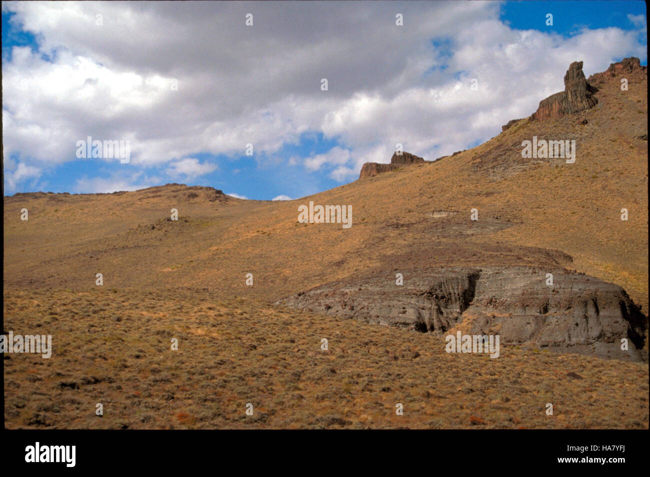 Il Bloody Shins Trail in Nevada offre opportunità di escursioni a piedi e in mountain bike attraverso il terreno accidentato del deserto di Black Rock. Il sentiero si trova vicino ai monti Calico e fa parte di una più ampia area di conservazione selvaggia gestita dal Bureau of Land Management. Foto Stock