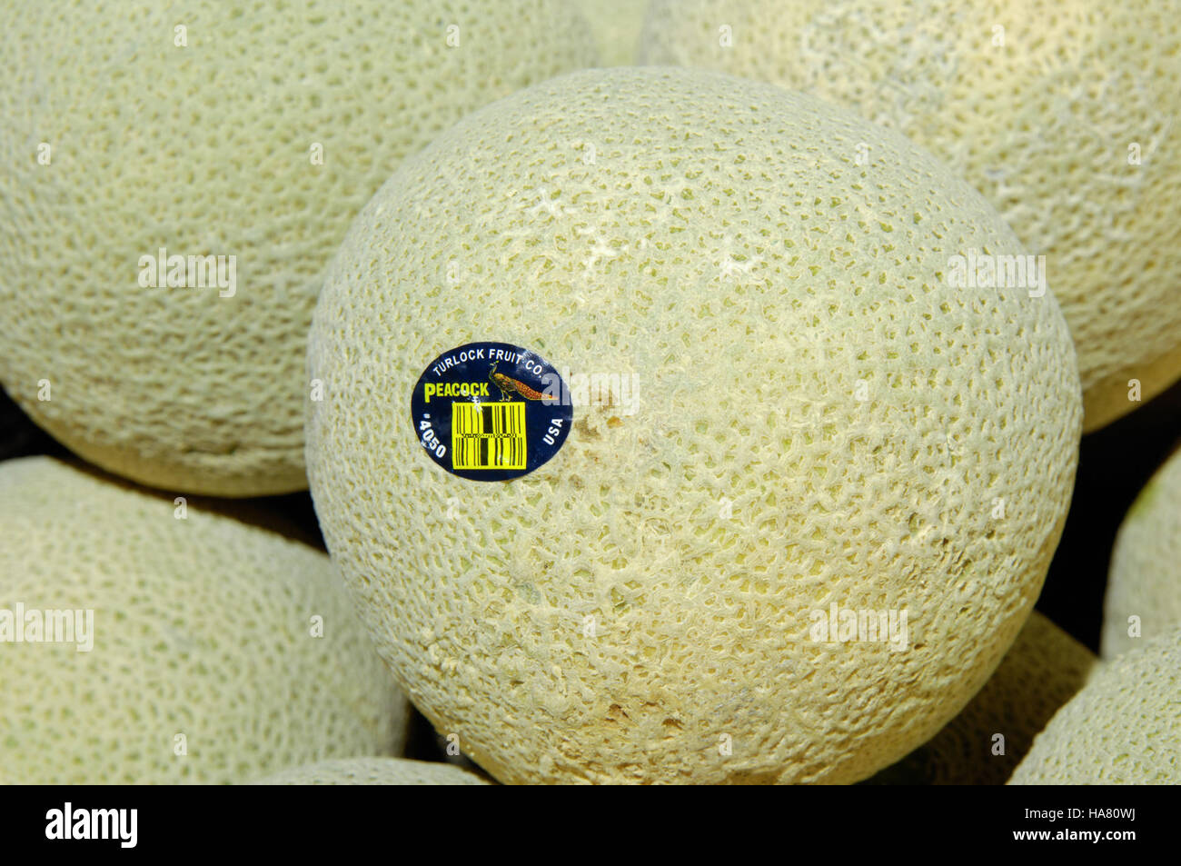 L'USDA ha celebrato il suo 150 ° anniversario con un evento speciale che onora la sua lunga storia di programmi agricoli e nutrizionali. La pietra miliare ha evidenziato il ruolo del Dipartimento nel plasmare i sistemi alimentari della nazione e promuovere lo sviluppo rurale, sottolineando al contempo la sostenibilità e le iniziative per la salute pubblica. Foto Stock