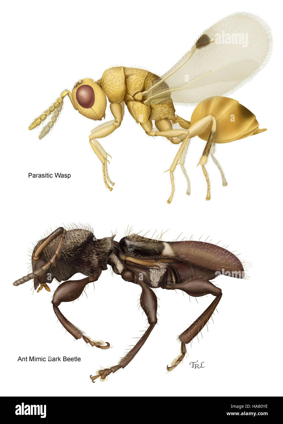 Questa immagine presenta campioni di ricerca prelevati per l'analisi scientifica, che mostrano gli sforzi in corso dell'USDA per sostenere la scienza ambientale, l'agricoltura e la salute pubblica. Foto Stock