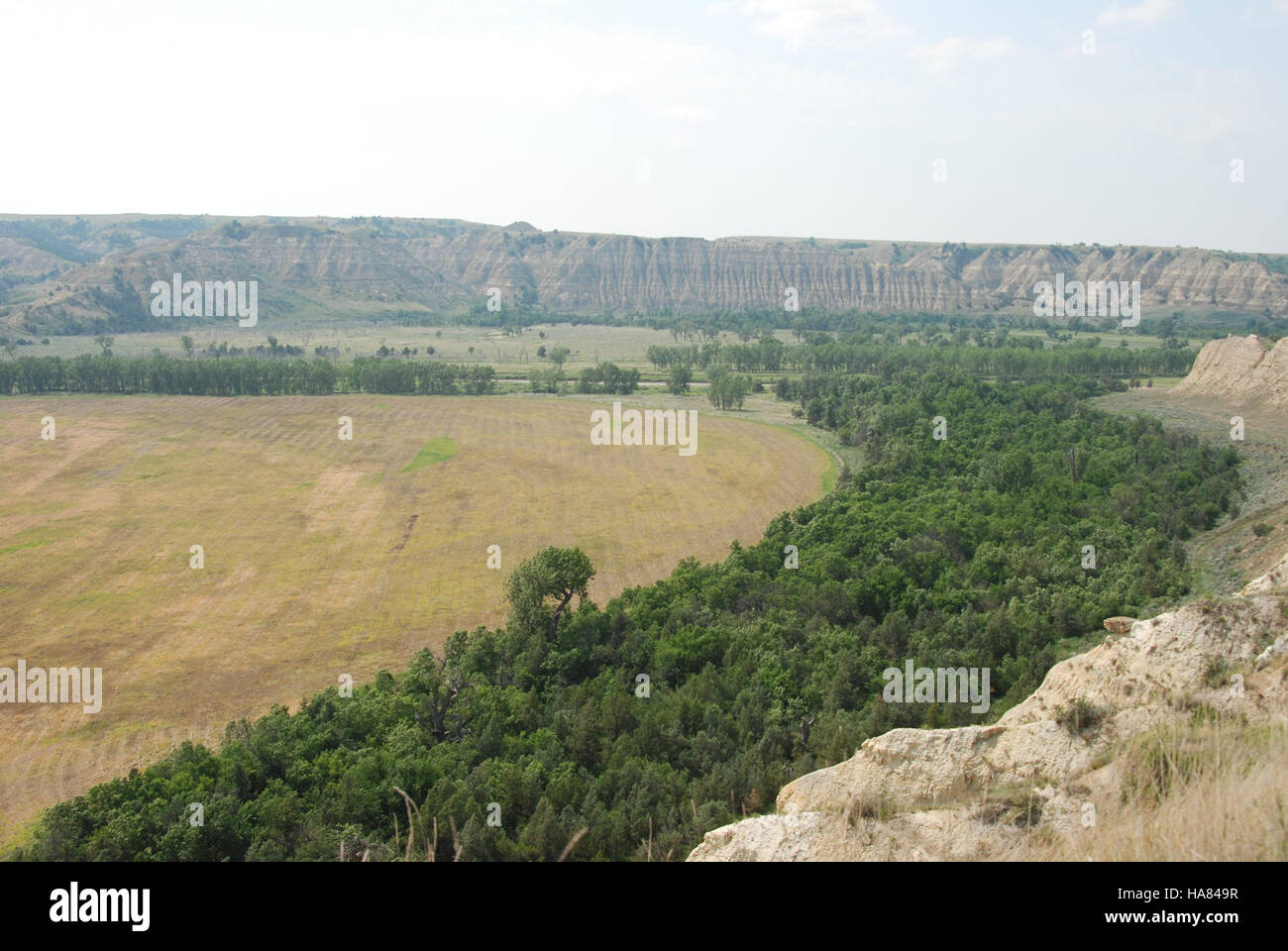 Un dipendente dell'USDA si impegna in attività scientifiche sul campo per sostenere gli sforzi dell'agricoltura e della gestione delle risorse, contribuendo a pratiche sostenibili nella conservazione della natura. Foto Stock