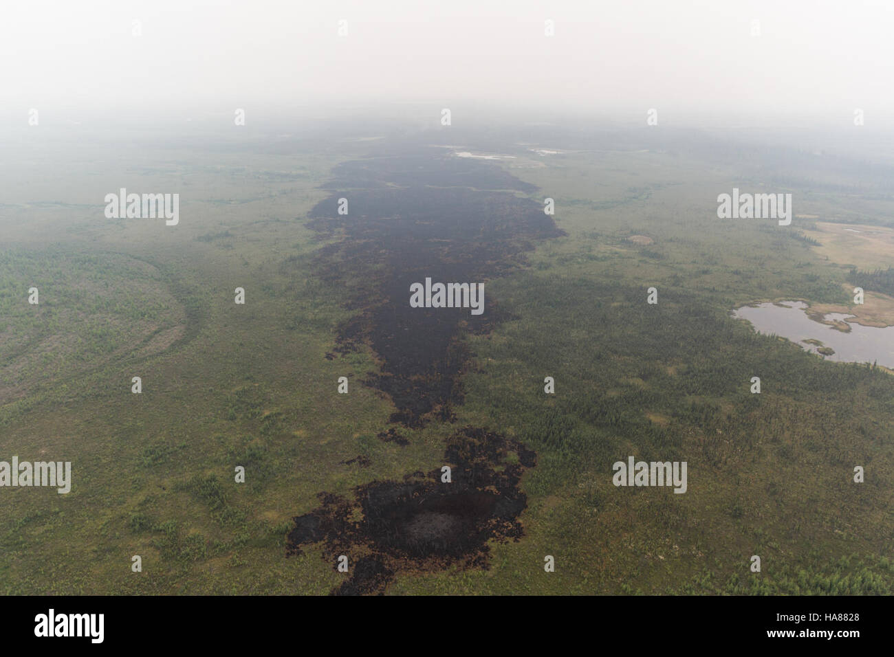 L'incendio Foraker nel Denali National Park, Alaska, si verificò nel 2015. Questa immagine aerea cattura gli sforzi di gestione degli incendi da parte del National Park Service, compresi i voli di ricognizione che utilizzano elicotteri per il monitoraggio e la valutazione durante la gestione degli incendi nella regione. Foto Stock