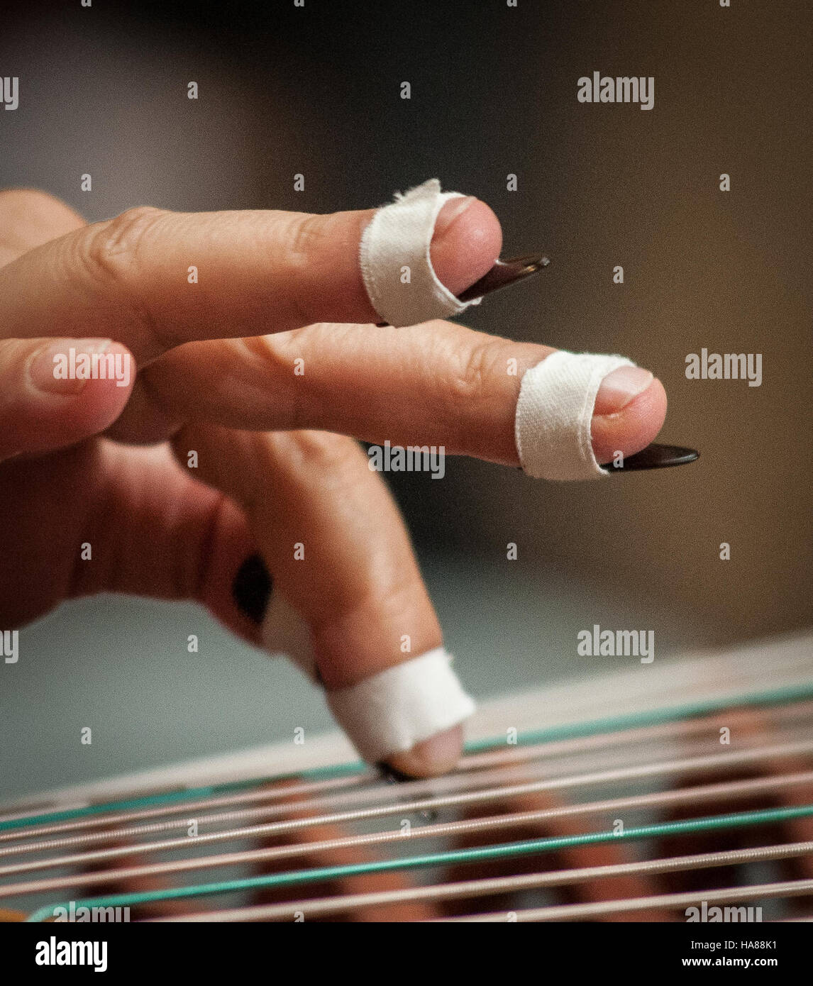 Questa immagine mette in evidenza la trasformazione culturale e il patrimonio culturale degli isolani del Pacifico, presentato dall'USDA. Sottolinea il ruolo dell'organizzazione nel sostenere comunità diverse e il loro sviluppo agricolo. Foto Stock