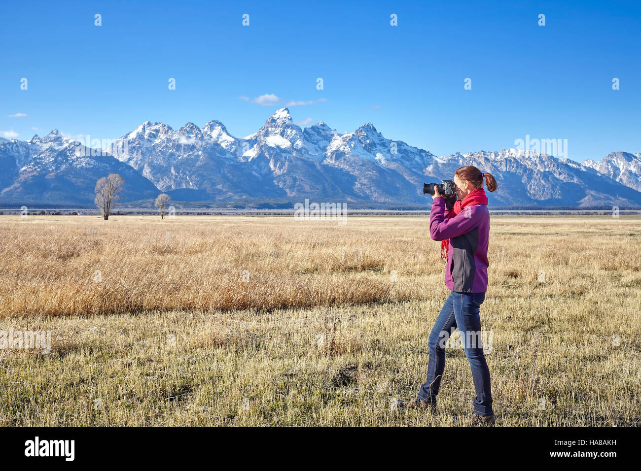 Montare femmina escursionista scattare foto con la fotocamera reflex digitale nel Parco Nazionale di Grand Teton, Wyoming negli Stati Uniti. Foto Stock