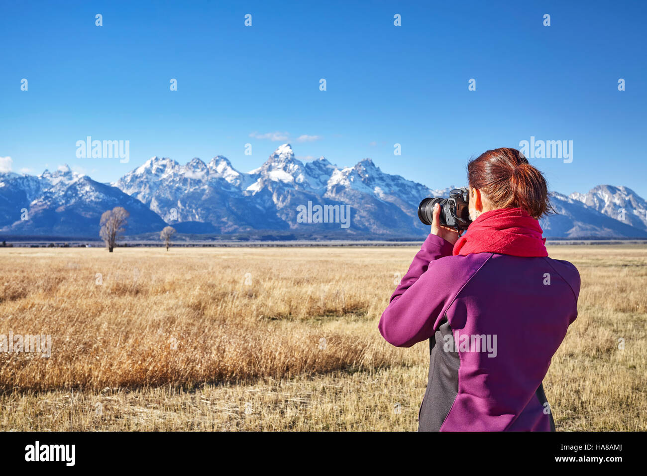 Vista posteriore di una donna di scattare foto con la fotocamera reflex digitale nel Parco Nazionale di Grand Teton, Wyoming negli Stati Uniti. Foto Stock