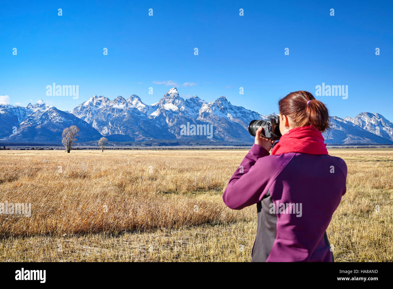 Vista posteriore di una donna sfocata a scattare foto con la fotocamera reflex digitale nel Parco Nazionale di Grand Teton, focus su sfondo, Wyoming negli Stati Uniti. Foto Stock