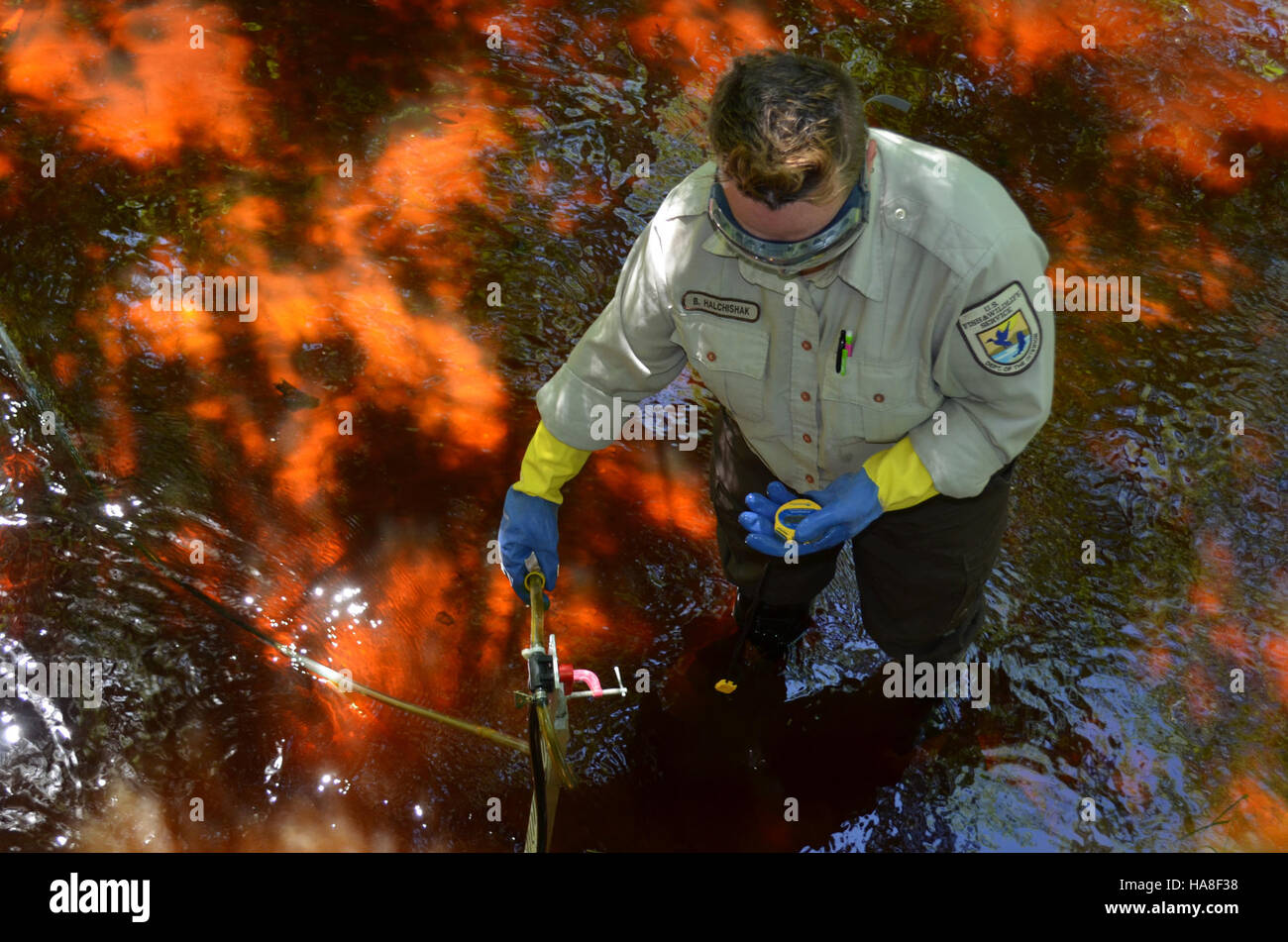 Questa immagine si concentra sul monitoraggio del trattamento nella regione del Midwest USFW, evidenziando gli sforzi per monitorare e gestire la salute ambientale, gli sforzi di conservazione e la protezione della fauna selvatica nell'area. Foto Stock