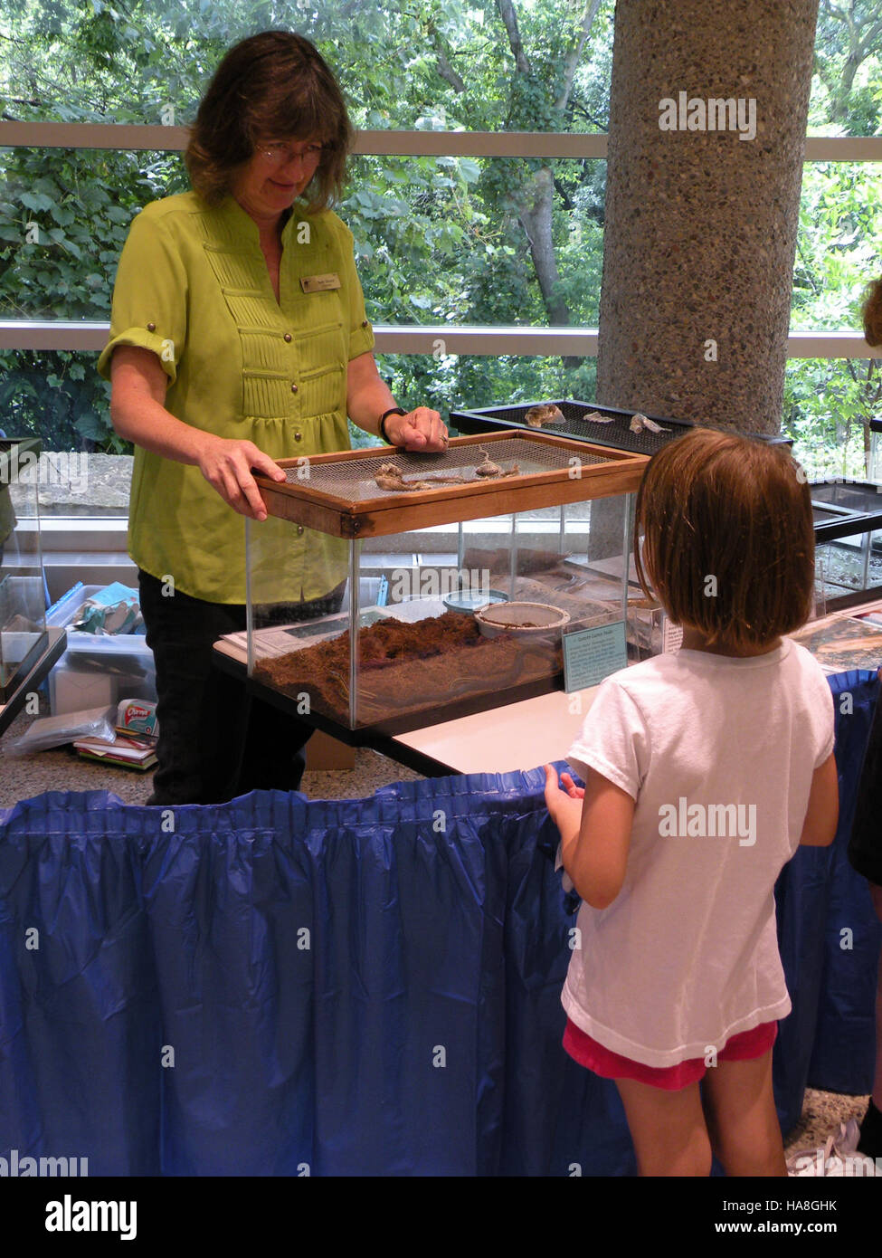 Una splendida vista sul midwest U.S. National Park, che mette in mostra i diversi ecosistemi e le bellezze naturali della regione. Foto Stock