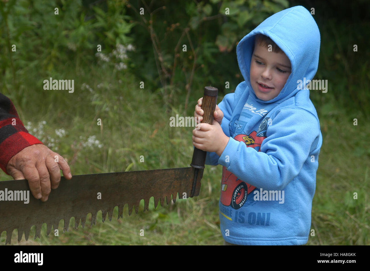 Il progetto Cross Cut Demo7 in un parco nazionale del Midwest dimostra tecniche sostenibili di gestione forestale. Il progetto mostra come metodi di silvicoltura adeguati possano contribuire a preservare gli ecosistemi e prevenire gli incendi. Foto Stock