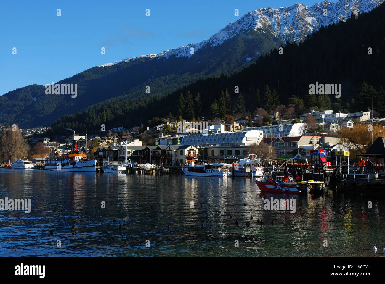 Porto di Queenstown Nuova Zelanda Foto Stock