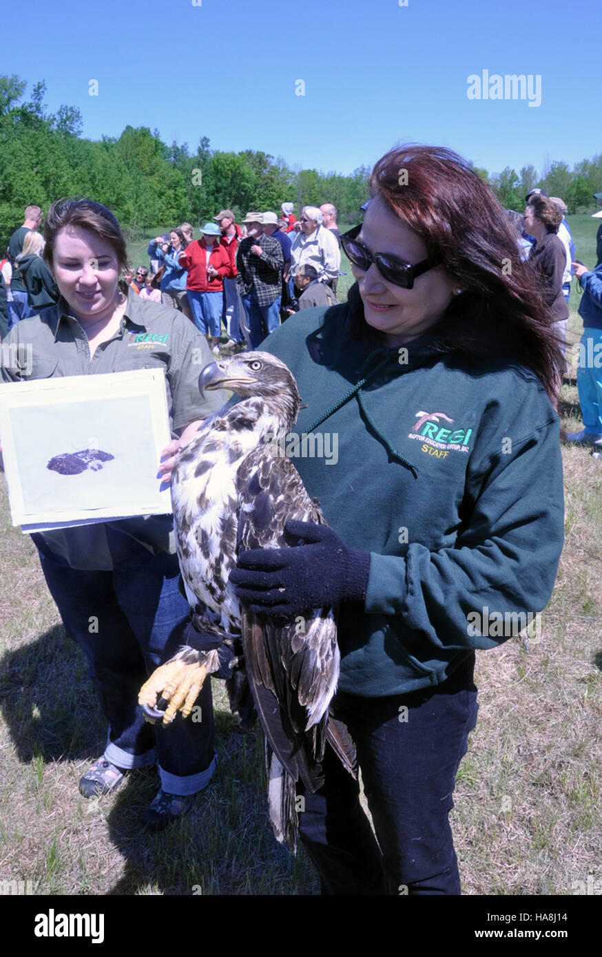 Marge Gibson, un sostenitore della fauna selvatica, ha dato un contributo significativo alla protezione delle specie selvatiche. I suoi sforzi per la conservazione ambientale hanno portato a risultati importanti prima e dopo, soprattutto in termini di ripristino dell'habitat e sforzi di recupero della fauna selvatica negli Stati Uniti Foto Stock