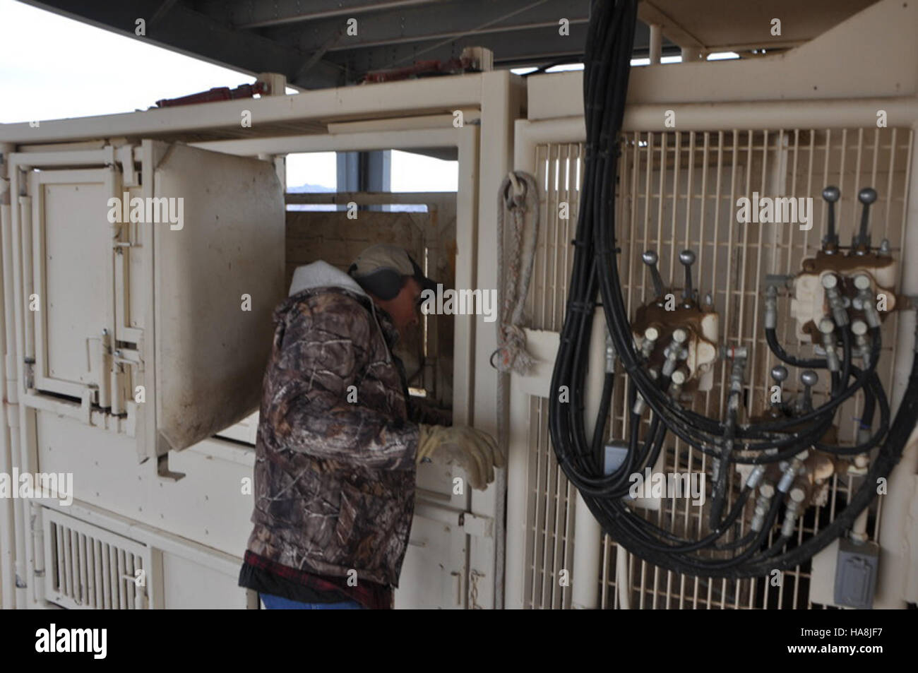 Il Flanigan Wild Horse and burro (WHB), condotto il 22 gennaio 2012, faceva parte degli sforzi del Bureau of Land Management per gestire le popolazioni di cavalli selvatici in Nevada. La raccolta mirava a garantire la salute dell'ecosistema mantenendo un adeguato equilibrio tra cavalli selvatici e altre specie selvatiche della regione. Foto Stock