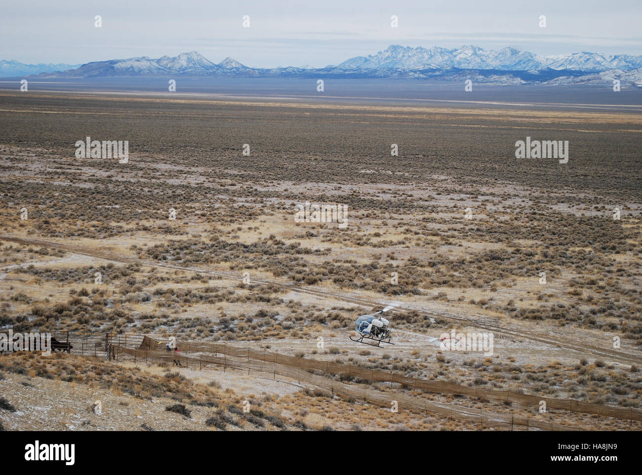 Un'immagine di campo scattata durante una sequenza di raccolta alla trappola 3 di Pancake Flats, Nevada, che mostra il monitoraggio ambientale in azione. L'immagine riflette gli sforzi di conservazione e ricerca in questo sito del Parco Nazionale. Foto Stock