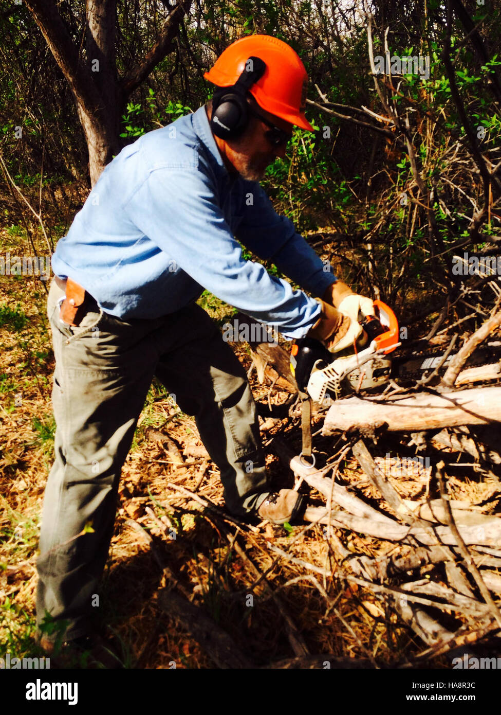 In occasione della giornata della Terra, il Fish and Wildlife Service degli Stati Uniti celebra la gestione ambientale promuovendo pratiche responsabili di gestione e conservazione del territorio nei parchi nazionali. Foto Stock