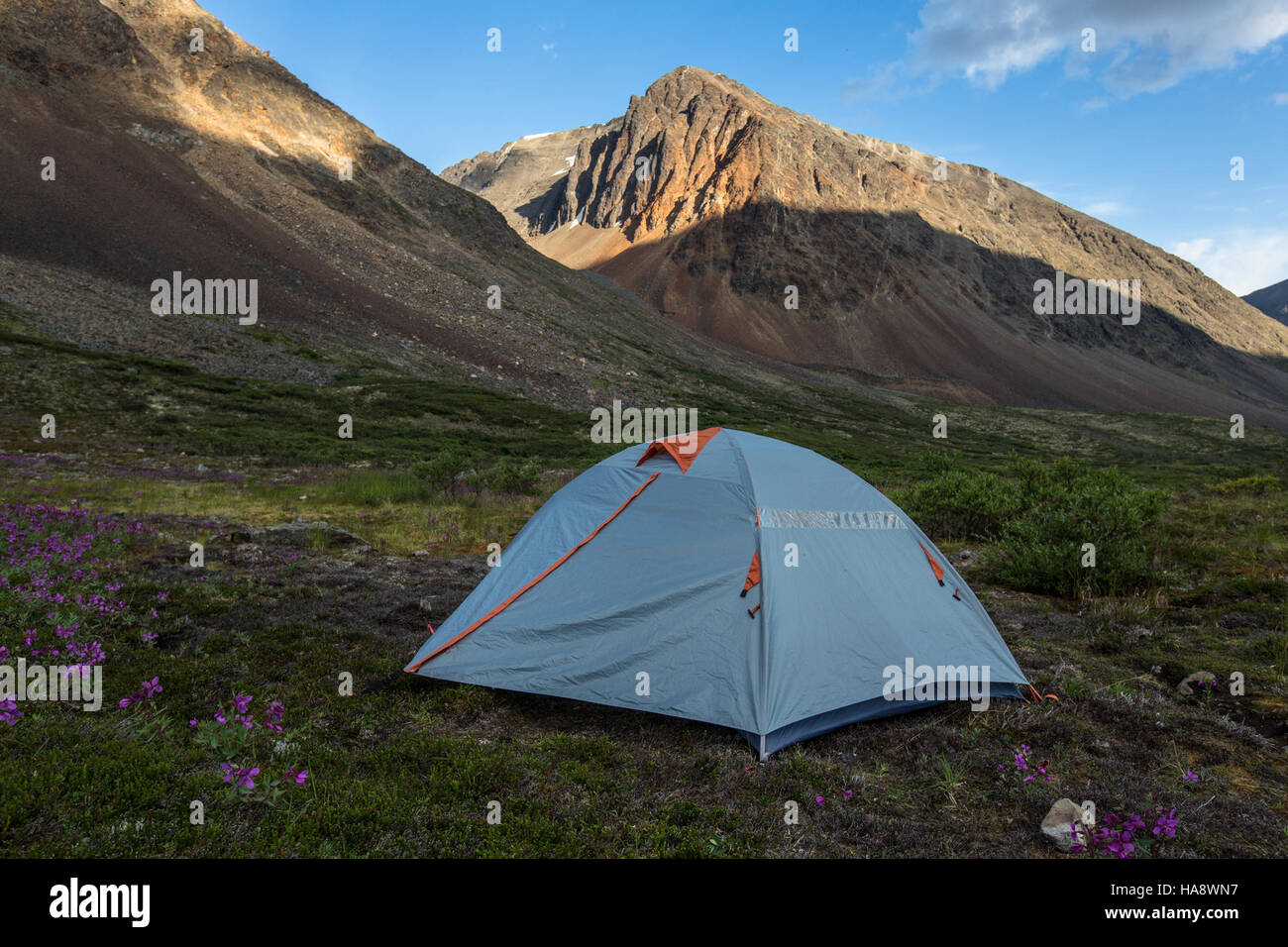 Il campeggio Bremner, nei parchi nazionali dell'Alaska, offre ai visitatori l'ambiente ideale per praticare attività all'aperto e immergersi nella bellezza naturale unica dello stato. Il sito offre un'esperienza tranquilla con viste mozzafiato e incontri con la fauna selvatica. Foto Stock