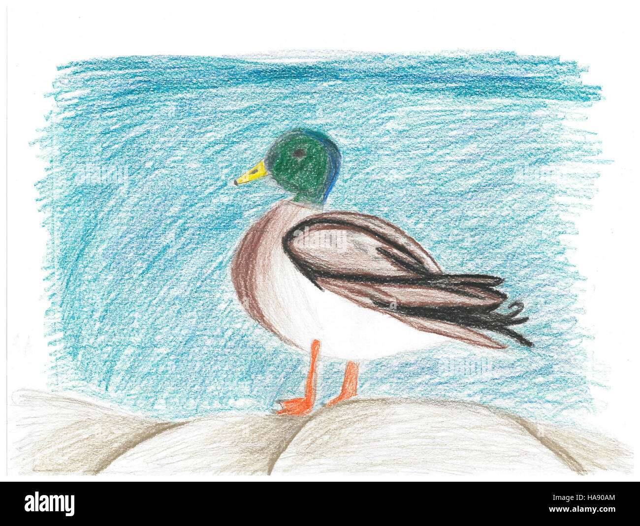 Sydney Friedt, un bambino di 10 anni di Carrington, North Dakota, ha creato un'opera d'arte vincente con un mallard per il Federal Duck Stamp Contest. La sua opera sottolinea l'importanza della conservazione degli uccelli e del coinvolgimento dei giovani nell'educazione ambientale. Foto Stock