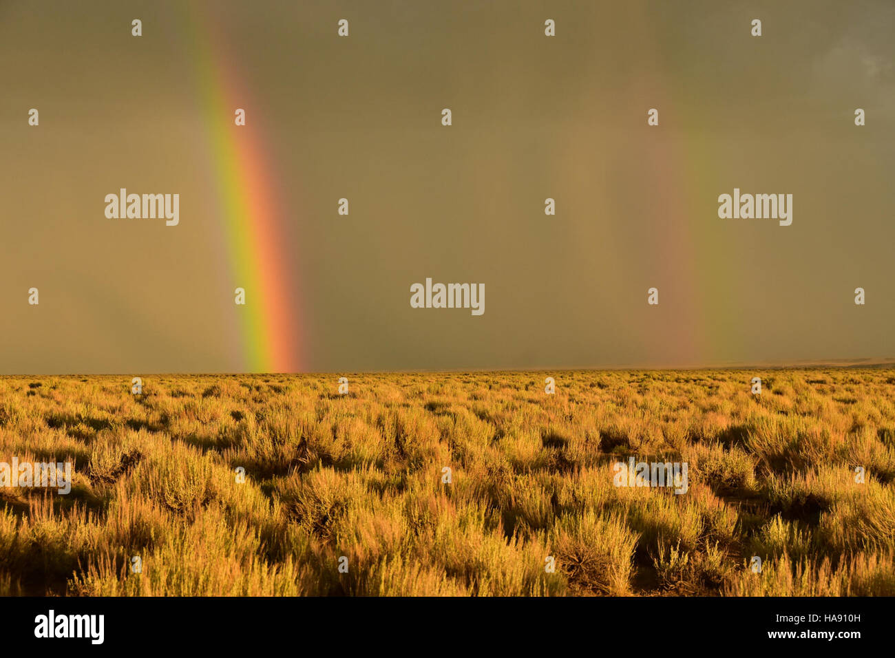 Una tempesta si avvicina al Seedskadee National Wildlife Refuge nella Steppa della salvia, illustrando i modelli meteorologici dinamici che influenzano questo ecosistema. Il rifugio funge da habitat importante per gli uccelli migratori e altre specie di fauna selvatica. Foto Stock