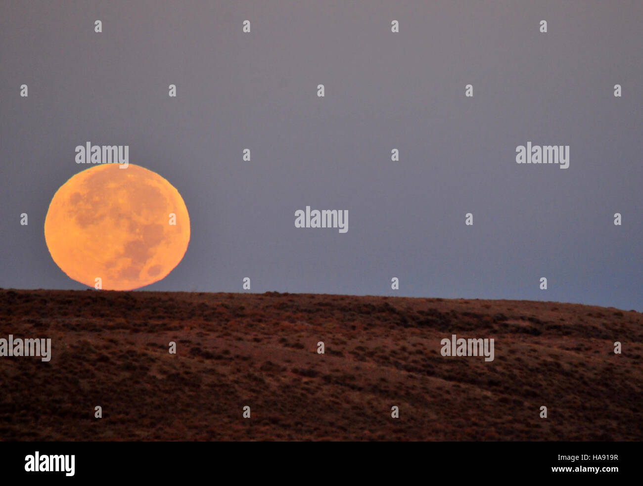 L'ambientazione della Luna di Hunter sul Seedskadee National Wildlife Refuge segna un momento sereno nella natura. Il rifugio è un habitat vitale per gli uccelli migratori, le zone umide e diverse specie di fauna selvatica, a sostegno della conservazione e delle attività ricreative all'aperto. Foto Stock