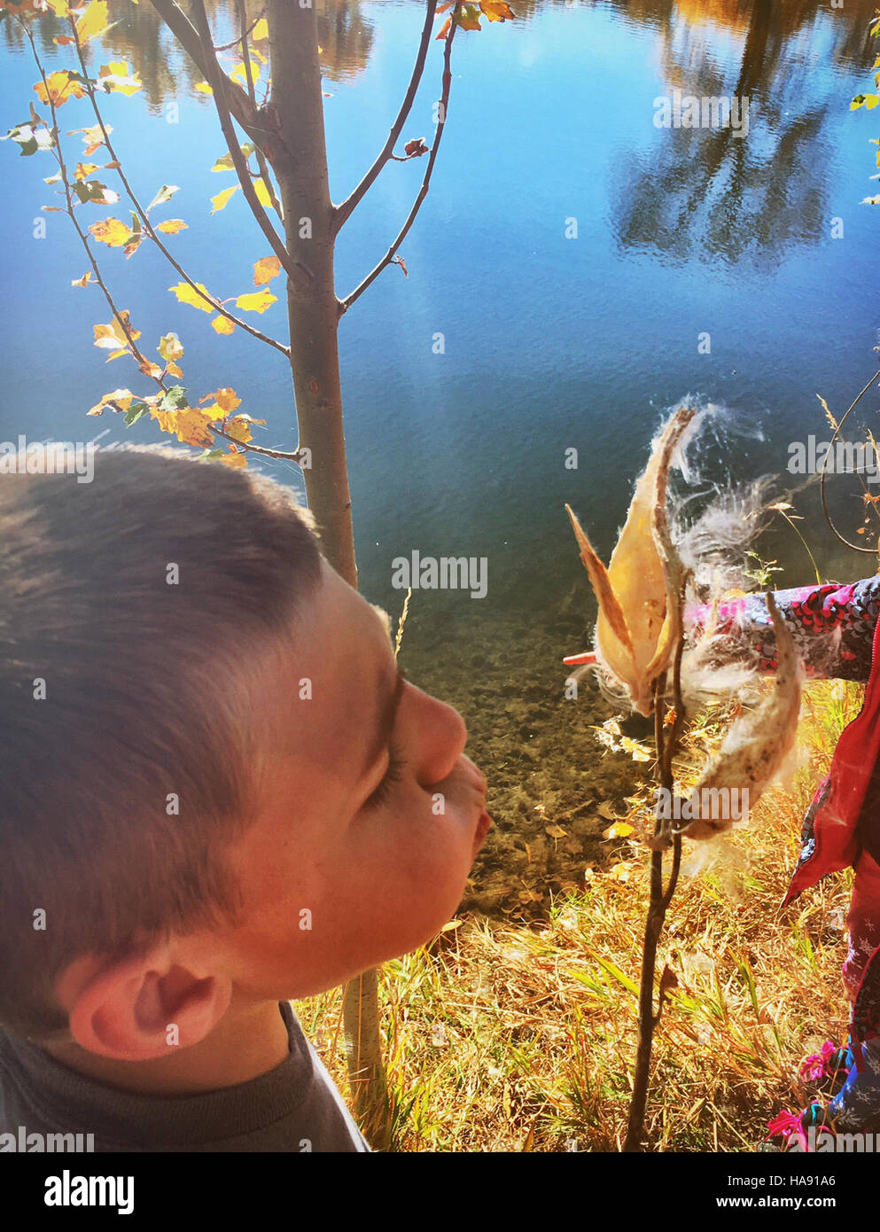 L'evento Milkweed Blow fa parte di un programma di educazione ambientale in un parco nazionale, dove i bambini partecipano ad attività che sensibilizzano sugli ecosistemi locali, concentrandosi in particolare sul ruolo dell'erba latta nella salute degli impollinatori e nella funzione dell'ecosistema. Foto Stock