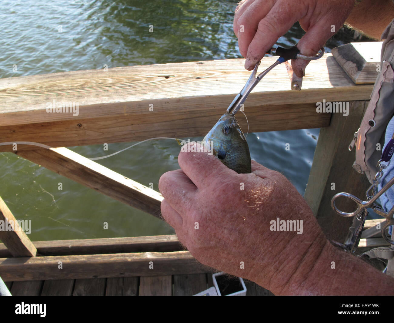 Una battuta di pesca al Rocky Mountain Arsenal National Wildlife Refuge offre opportunità ricreative, sostenendo al contempo gli sforzi di conservazione ambientale e la protezione degli habitat naturali. Foto Stock