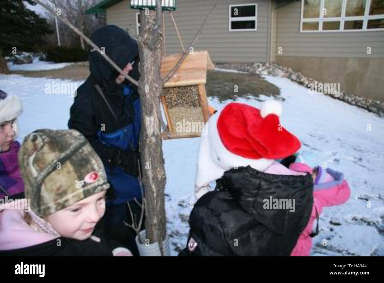 Lo U.S. Fish and Wildlife Service esplora vari tipi di mangiatoie per uccelli e semi, sottolineando la conservazione della fauna selvatica e l'importanza di mantenere diversi habitat per le popolazioni di uccelli. Foto Stock
