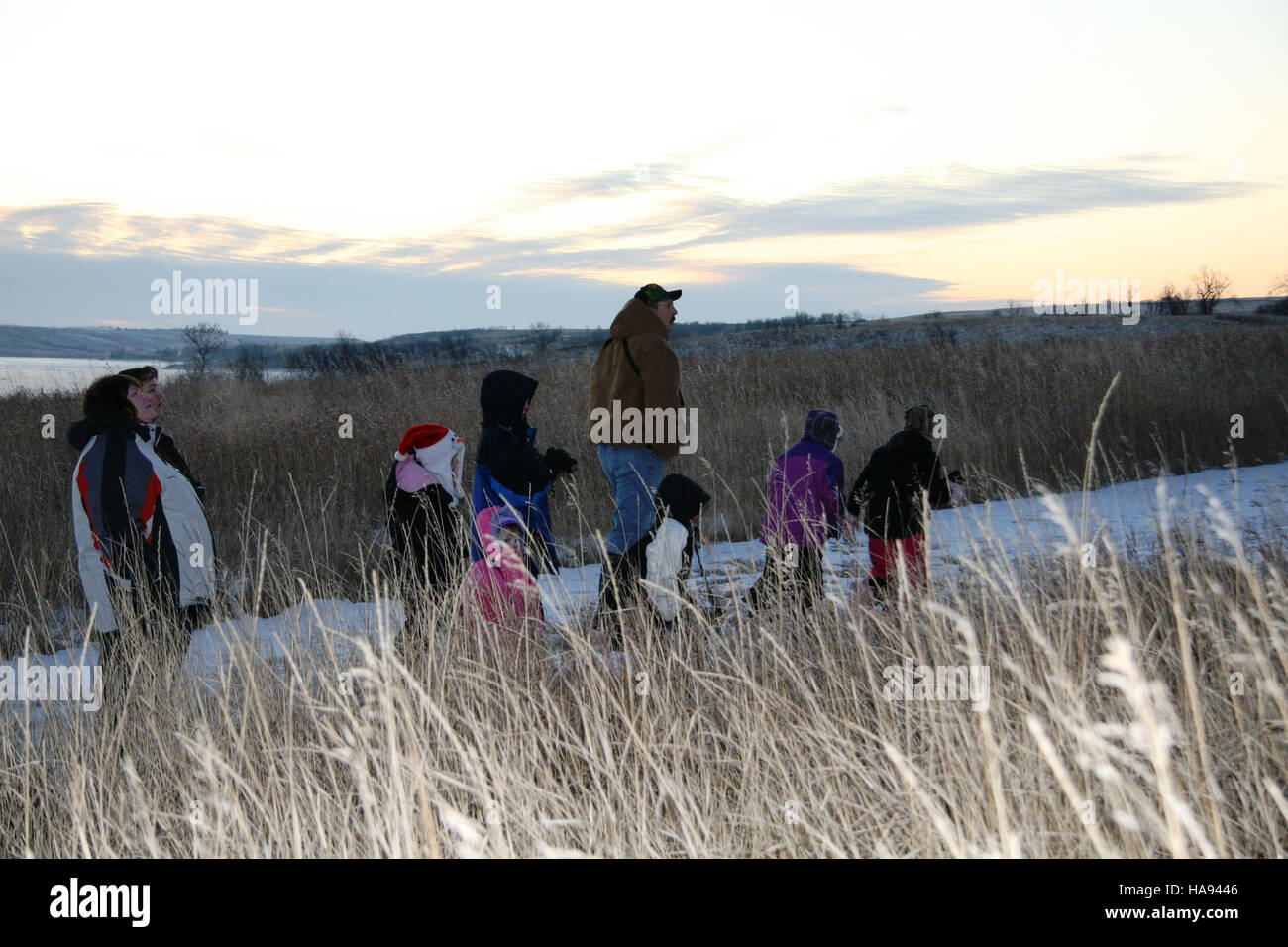 Nel loro habitat naturale sono raffigurati due ceci dal tetto nero, che mostrano il piumaggio e il comportamento distintivi della specie. Questi piccoli uccelli non migratori sono comuni nelle foreste nordamericane e svolgono un ruolo importante negli ecosistemi locali. Foto Stock