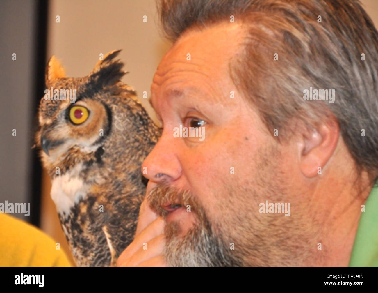 "Confronto occhi" è una rappresentazione artistica che si concentra sulla fauna selvatica nei parchi nazionali. Il progetto mostra come la visione degli animali influenzi la loro interazione con l'ambiente, contribuendo a una comprensione più profonda del comportamento animale e delle dinamiche dell'ecosistema. Foto Stock