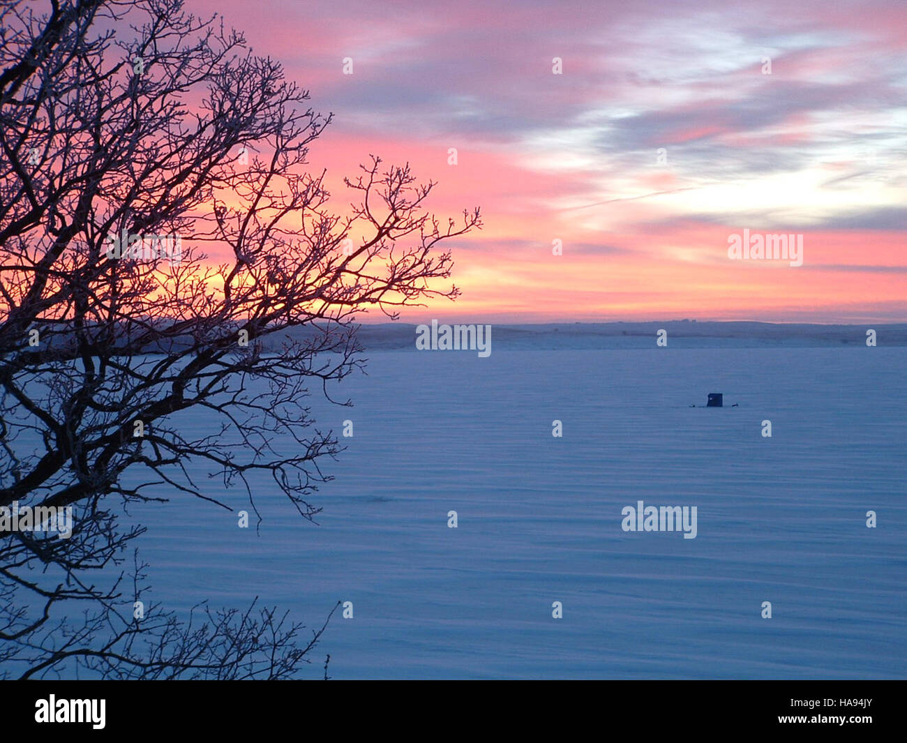 Le prime catture di pesci nei torrenti di montagna mettono in risalto la salute degli ecosistemi acquatici. Questi sforzi contribuiscono a monitorare le popolazioni ittiche e la qualità delle acque, essenziali per mantenere la biodiversità nelle aree dei parchi nazionali. Foto Stock