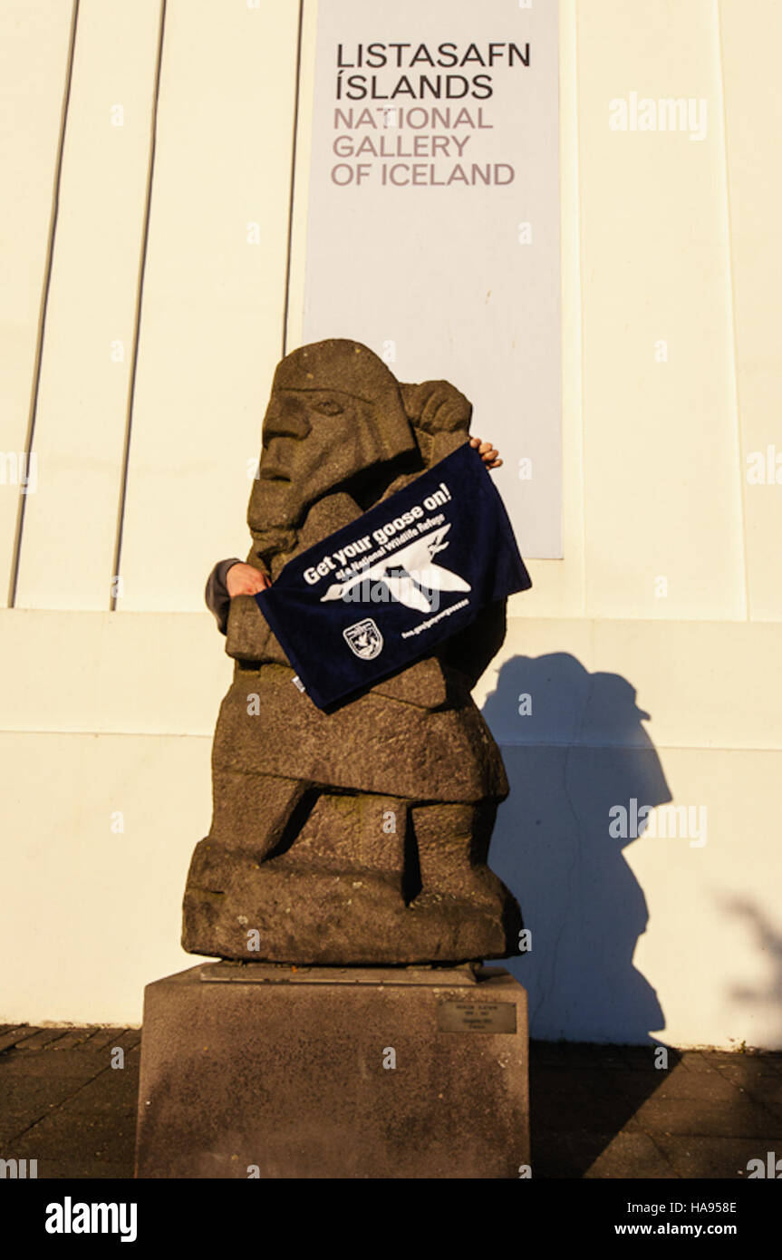 "Get Your Goose On", un evento che si tiene nel Parco nazionale dell'Islanda, promuove la consapevolezza sulla conservazione degli uccelli e la protezione della fauna selvatica nell'ambiente unico del parco. Si concentra sugli uccelli migratori e sulla loro conservazione nei paesaggi naturali dell'Islanda. Foto Stock