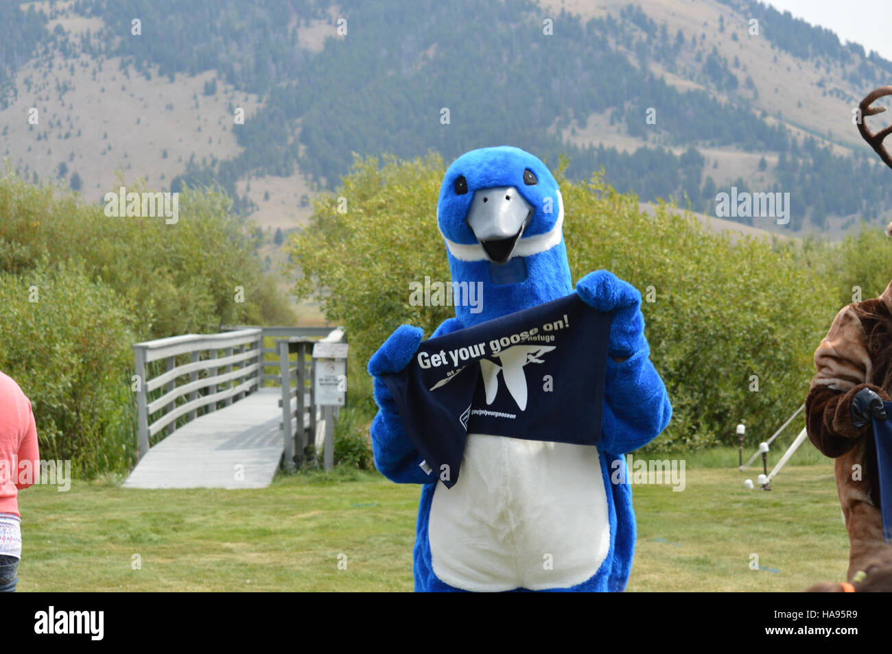 Il National Elk Refuge in Wyoming offre la possibilità di vedere grandi stormi di oche migranti. L'iniziativa "Get Your Goose On" enfatizza la conservazione e l'educazione della fauna selvatica, promuovendo pratiche sostenibili di gestione della fauna selvatica nei parchi nazionali. Foto Stock