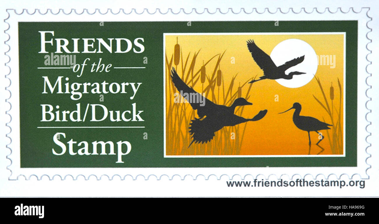 Il logo Friends of the Migratory Bird Duck Stamp rappresenta una partnership dedicata alla protezione degli habitat degli uccelli migratori attraverso la sensibilizzazione pubblica e gli sforzi di conservazione. Foto Stock
