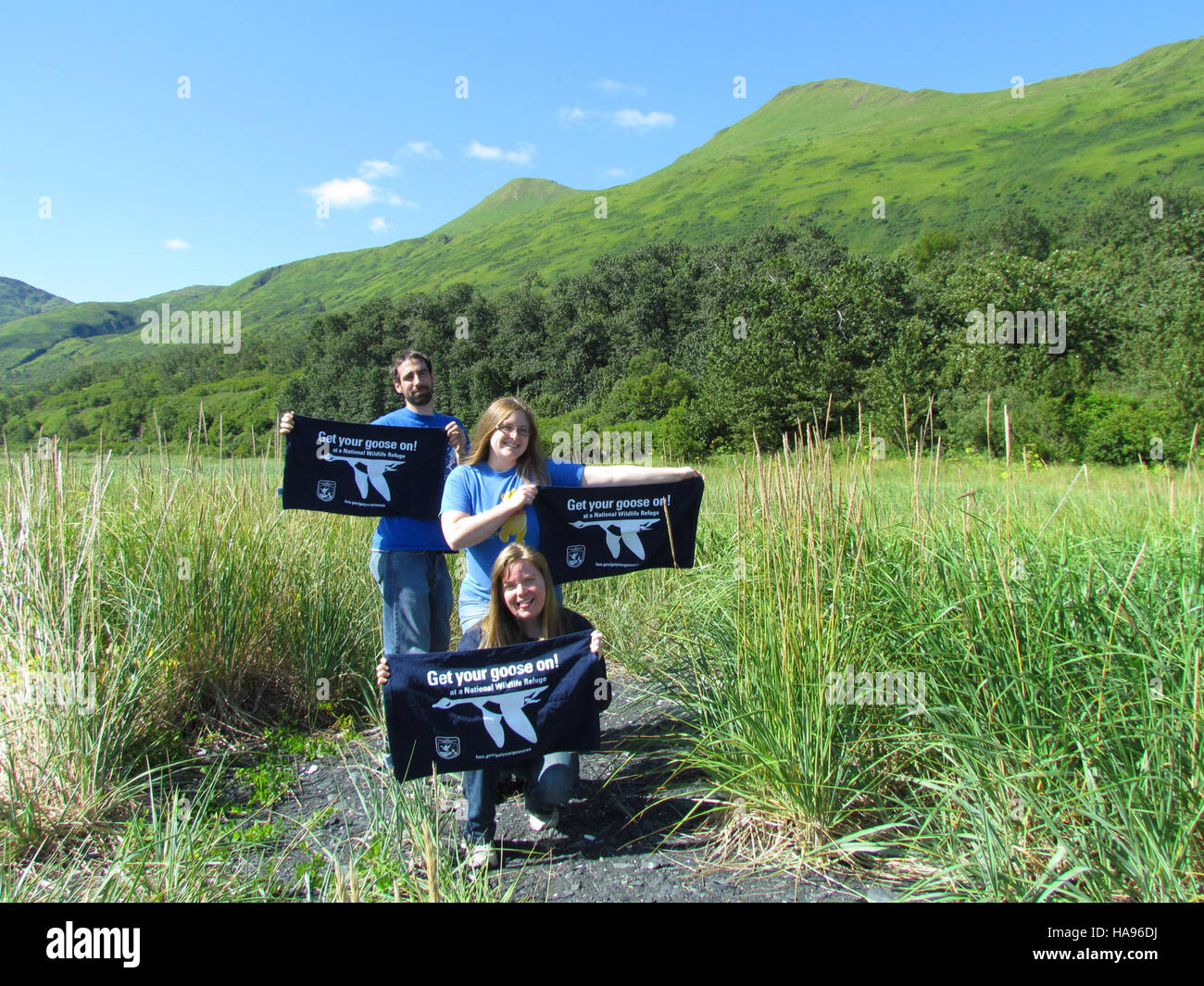 Questa immagine mette in evidenza la migrazione delle oche selvatiche in Alaska, mostrando i loro movimenti stagionali attraverso i rifugi naturali nazionali nella regione. L'evento attira appassionati di birdwatching e di natura che apprezzano l'osservazione della fauna selvatica. Foto Stock