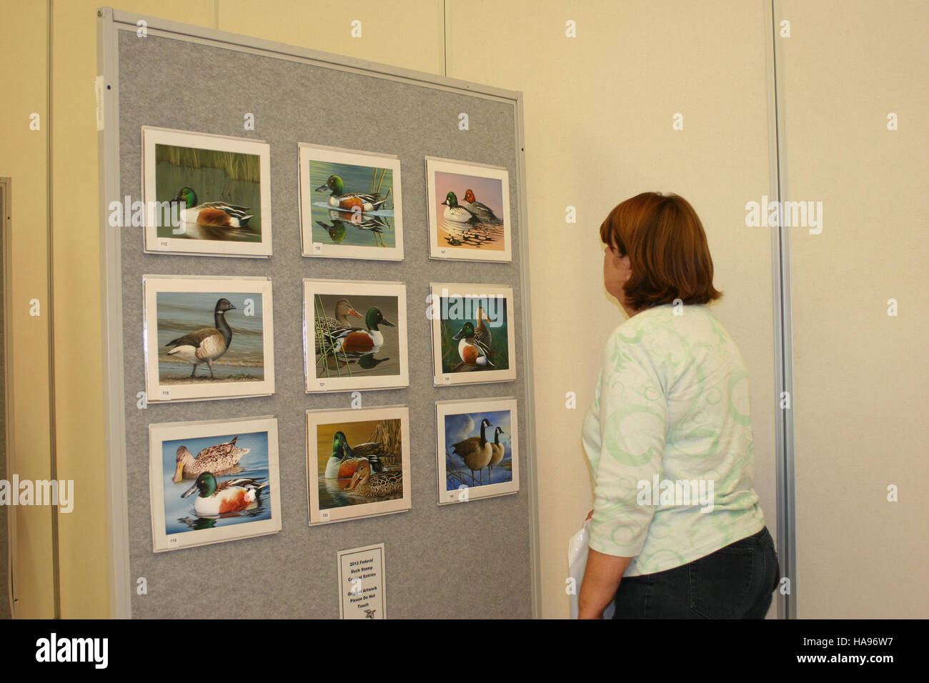 Questa immagine mostra un evento pubblico per la visualizzazione di opere d'arte, che mette in evidenza un gruppo di visitatori che interagiscono con l'arte in una galleria o in un museo. L'immagine sottolinea l'interazione tra le persone e l'arte in un ambiente culturale. Foto Stock