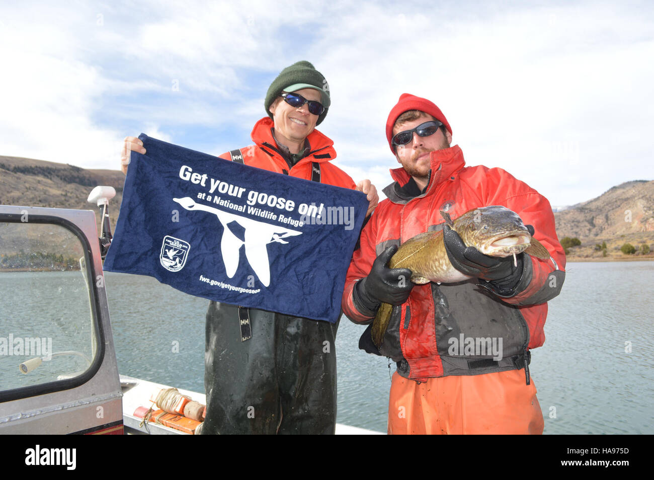 Questa immagine mette in evidenza uno sforzo per promuovere la pesca e la consapevolezza della fauna locale, concentrandosi sulle oche e sui burbot nelle regioni della prateria. La frase "Get Your Goose On for Burbot" incoraggia l'impegno ambientale e la conservazione delle specie. Foto Stock
