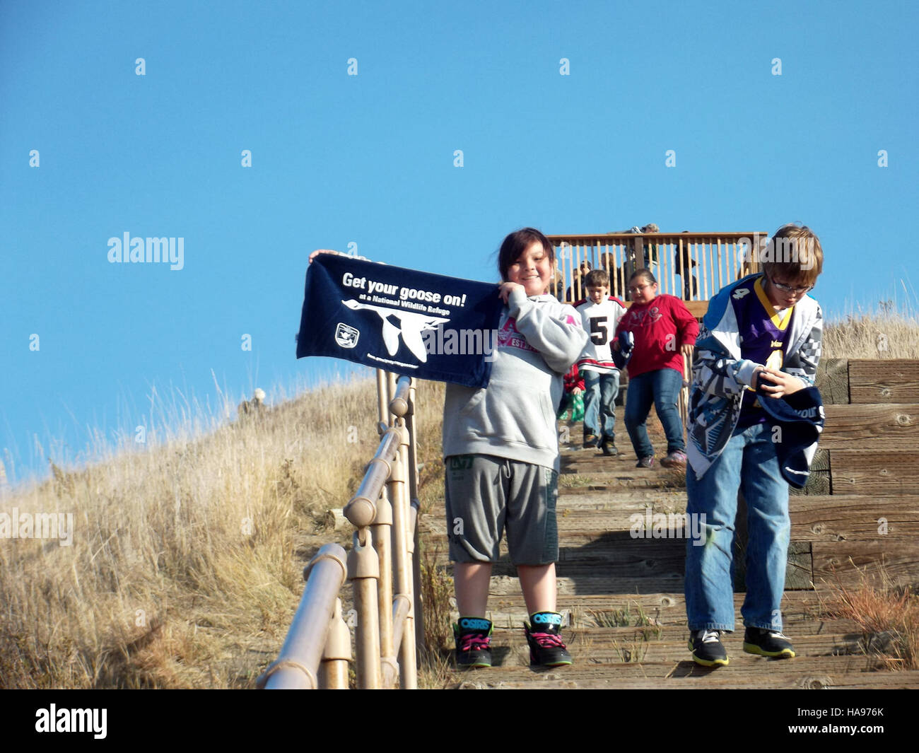 L'immagine cattura un momento umoristico della fauna selvatica, caratterizzato da un'oca selvatica con una giocosa didascalia "Get Your Goose On", che riflette la natura spensierata della fotografia naturalistica. Foto Stock