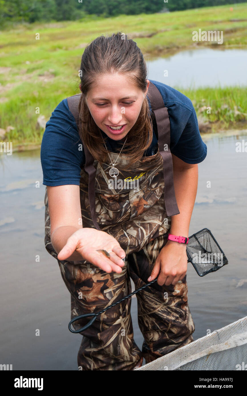Nekton Sampling in a National Park aiuta gli scienziati a raccogliere dati sulla vita acquatica, sostenendo gli sforzi di conservazione monitorando le specie marine e la salute delle acque negli ecosistemi del parco. Foto Stock