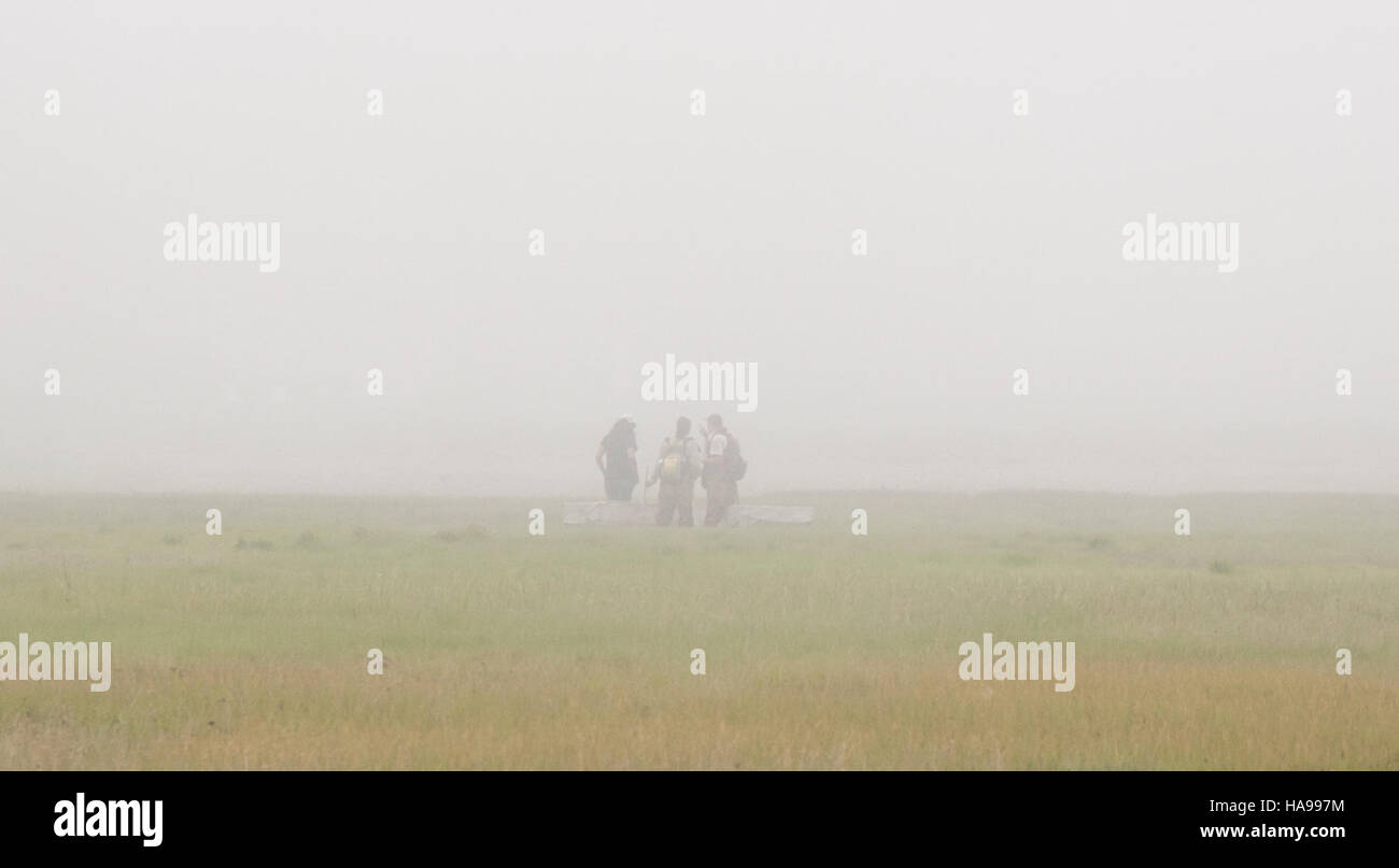 Il campionamento di Nekton viene condotto in una mattina nebbiosa in una palude all'interno di un parco nazionale. Questa ricerca è essenziale per studiare gli ecosistemi acquatici, la biodiversità e la qualità dell'acqua. Foto Stock