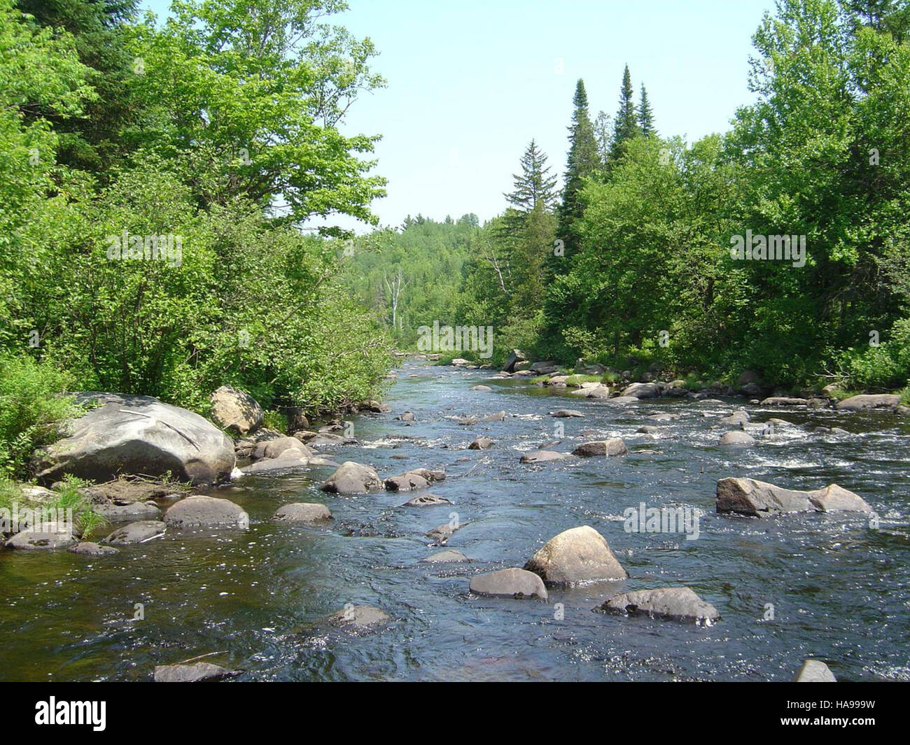 15031466241 usfwsnortheast 3. Per celebrare i 50 anni della terra e la conservazione di acqua fondo; Silvio O. Conte National Fish e Wildlife Refuge, New England Foto Stock