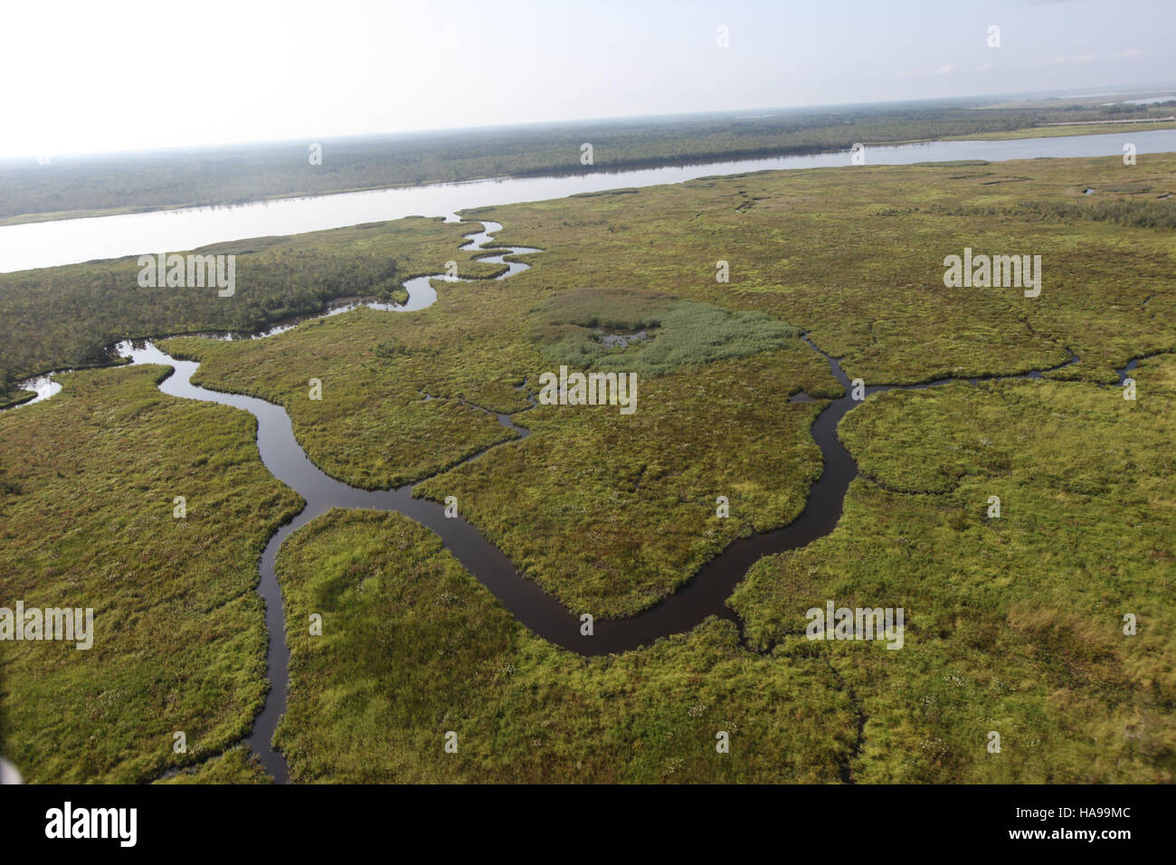Il 4° giorno del tour aereo del fiume Nanticoke nel Maryland evidenzia l'impatto dell'uragano Sandy sui paesaggi naturali della regione. Il tour fornisce una comprensione visiva degli effetti della tempesta sugli habitat locali, tra cui l'erosione e gli ecosistemi alterati. Foto Stock