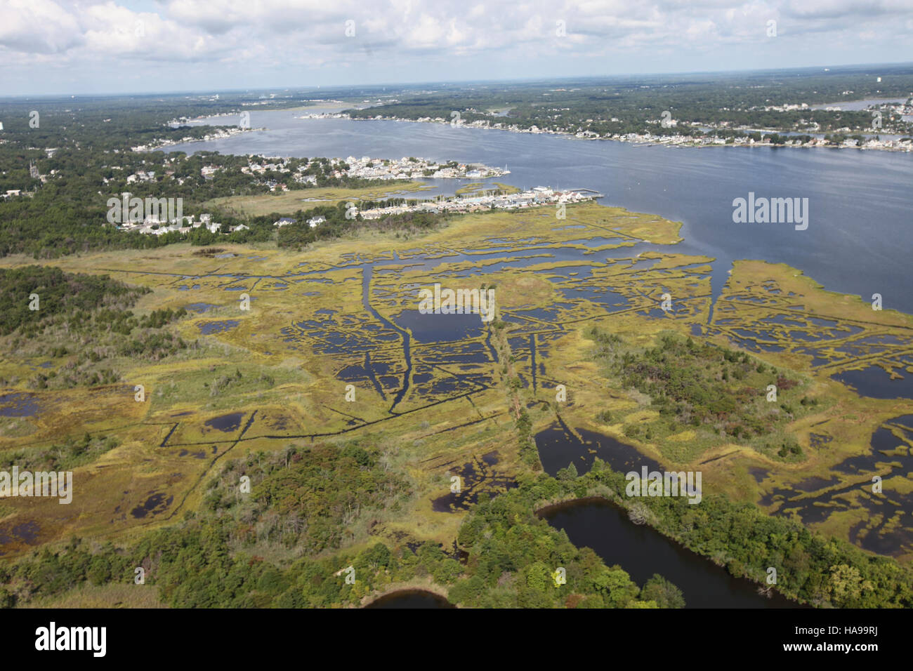 Il secondo giorno di un'indagine sul cavalcavia presso il Forsythe National Wildlife Refuge nel New Jersey ha fornito dati critici per monitorare le popolazioni di fauna selvatica e le condizioni degli habitat. L'indagine ha contribuito a valutare la salute di varie specie, identificare le esigenze di conservazione e tenere traccia dei cambiamenti ambientali. Il rifugio è un'area vitale per gli uccelli migratori, con sforzi continui incentrati sulla conservazione degli ecosistemi delle zone umide e sul miglioramento della biodiversità. Foto Stock
