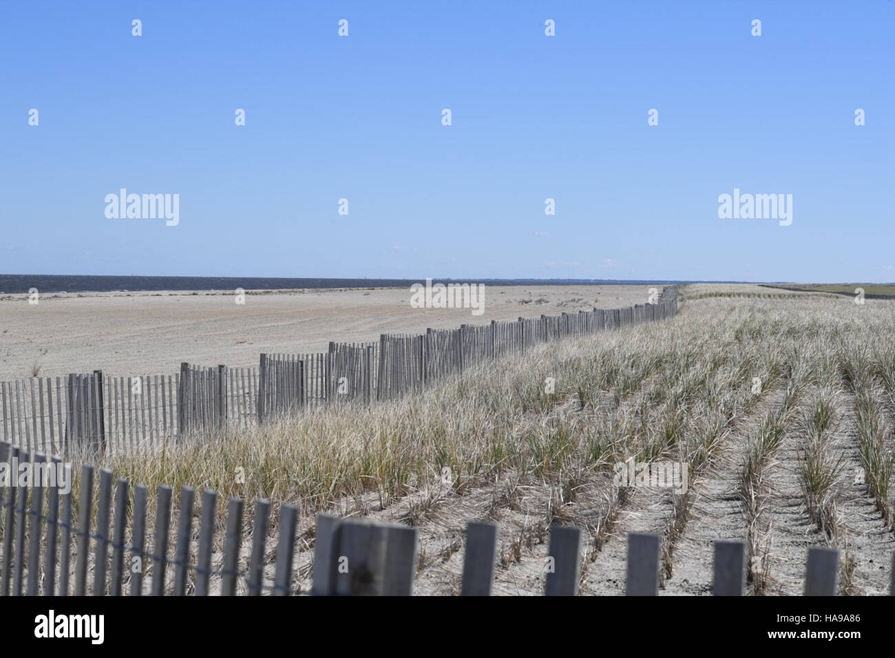 30083530814 usfwsnortheast spiaggia barriera restauro al Prime Hook National Wildlife Refuge Foto Stock